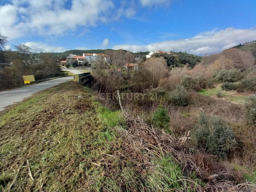 Terreno Rustico com 1450m2 Cerejeira-Alvito da Beira - Image 1
